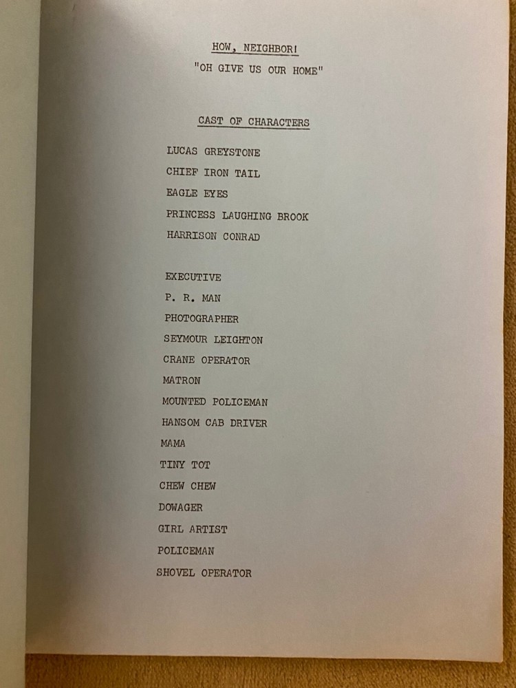 WE'LL TAKE MANHATTAN TV comedy pilot script 1965, ALLAN MELVIN (Brady Bunch)