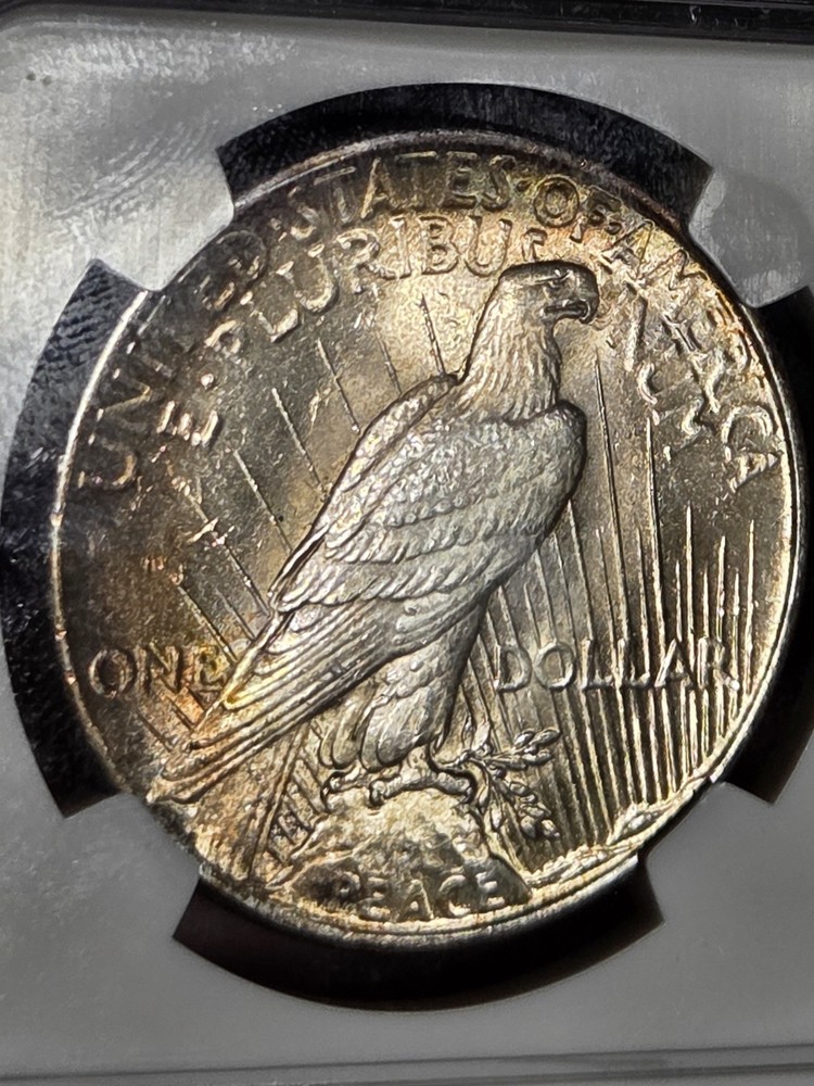 1925 $1 Peace Dollar NGC MS65 Toned