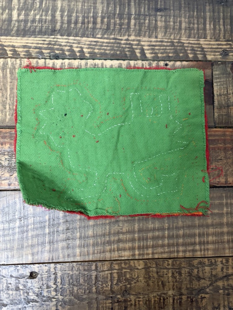 Traditional Mola Textile Art