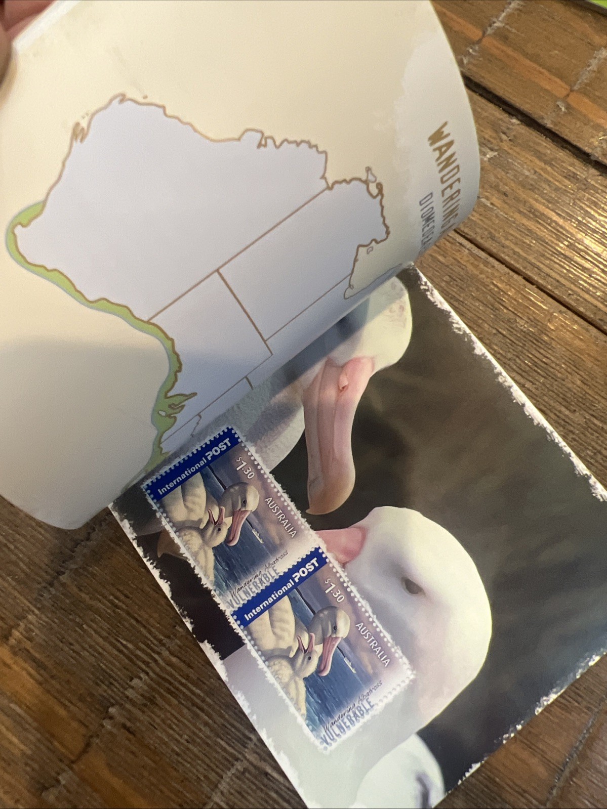 Lot Of 6: Australia Prestige: Dogs, Dangerous Aussies, Wallabies, Birds, Etc.