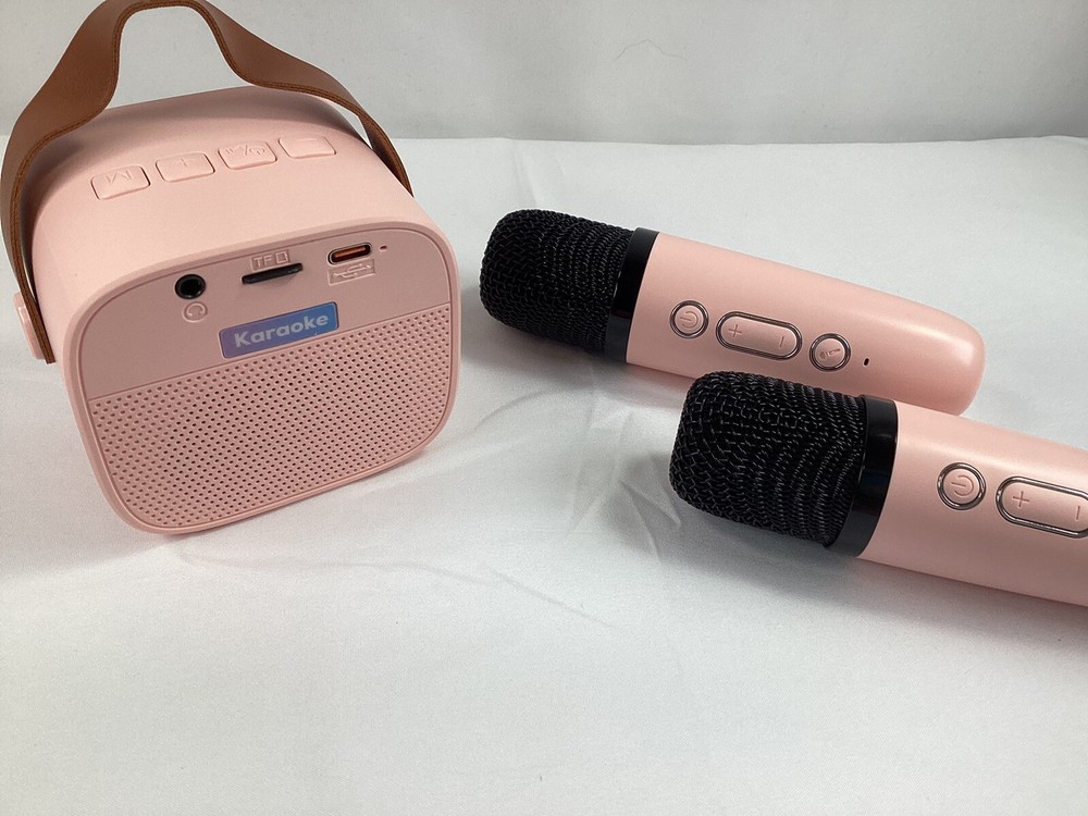 Portable Karaoke Machine with 2 Wireless Microphones Mini Bluetooth Speaker