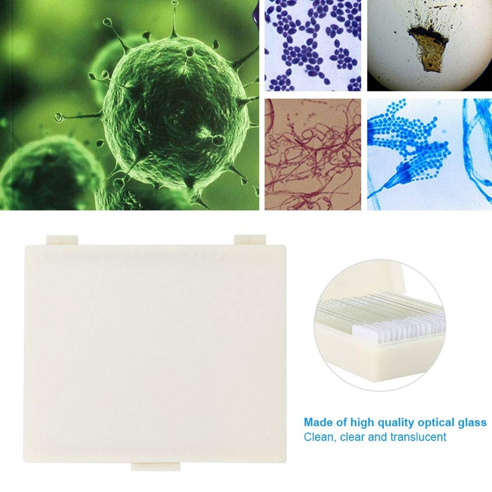 20pcs Microscope Slides Biology And Pathology Prepared Microbiological Bacter...