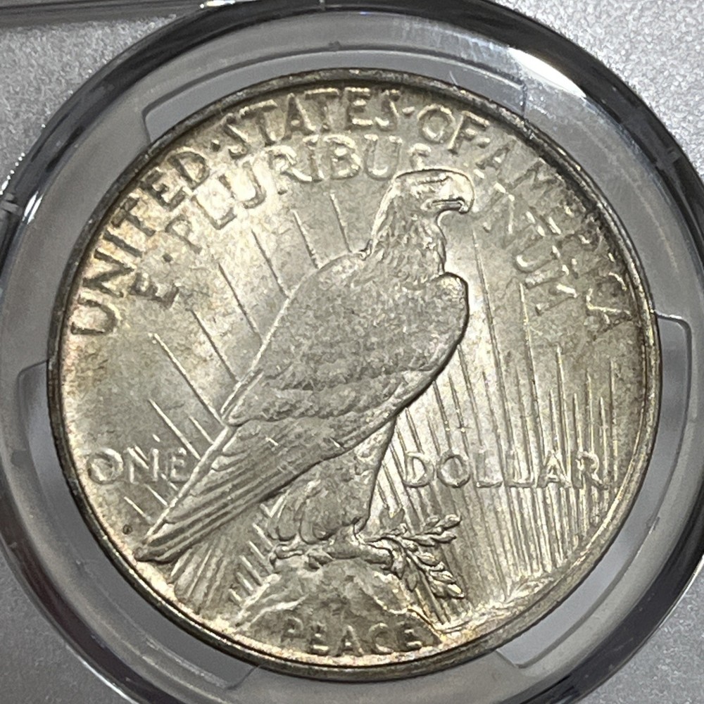 1923-D P Peace Silver Dollar PCGS MS62 Strong Luster