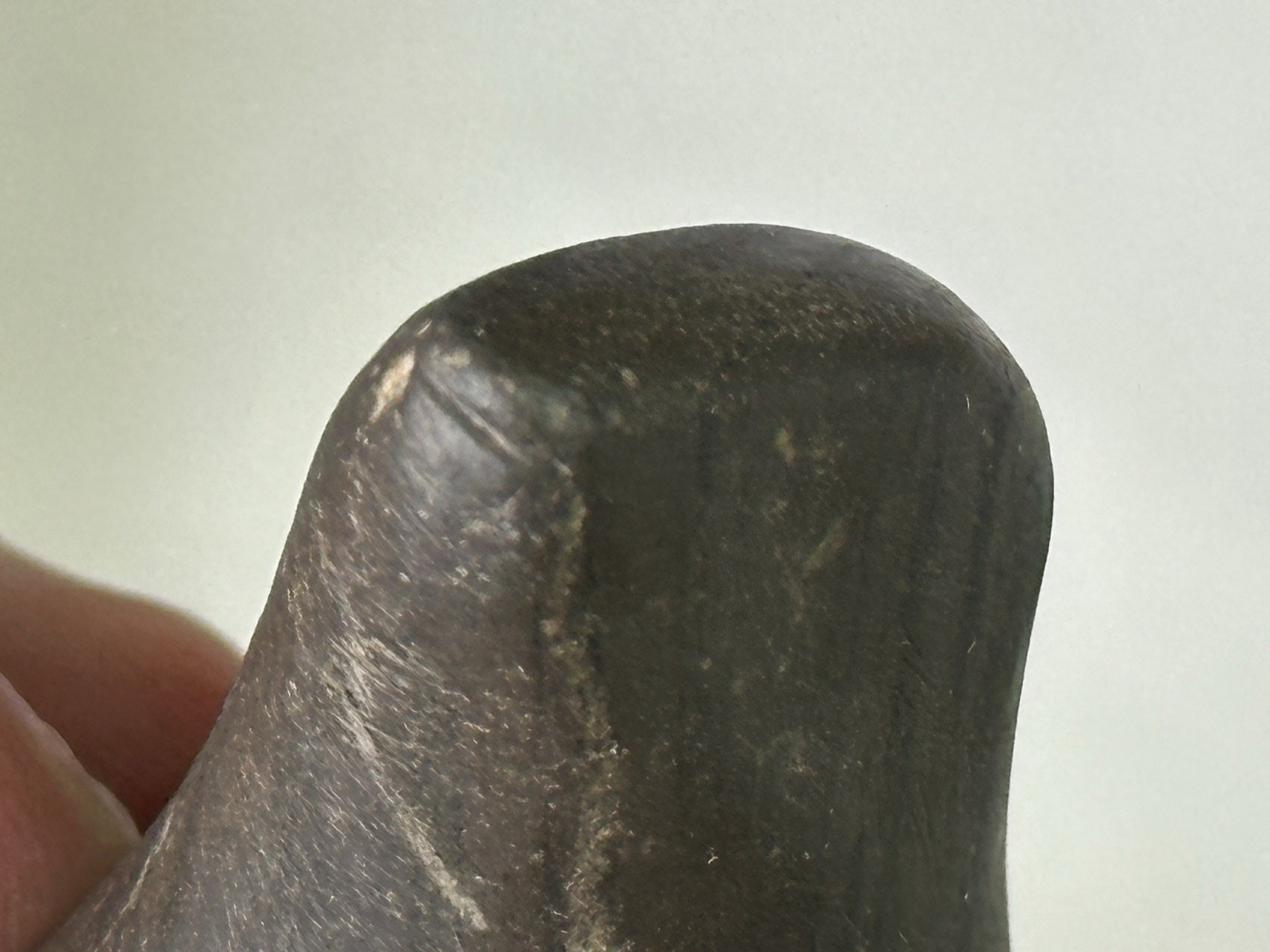 RARE AUTHENTIC BANDED SLATE BIRDSTONE FROM ASHLAND CO. OHIO, MOTLEY COA