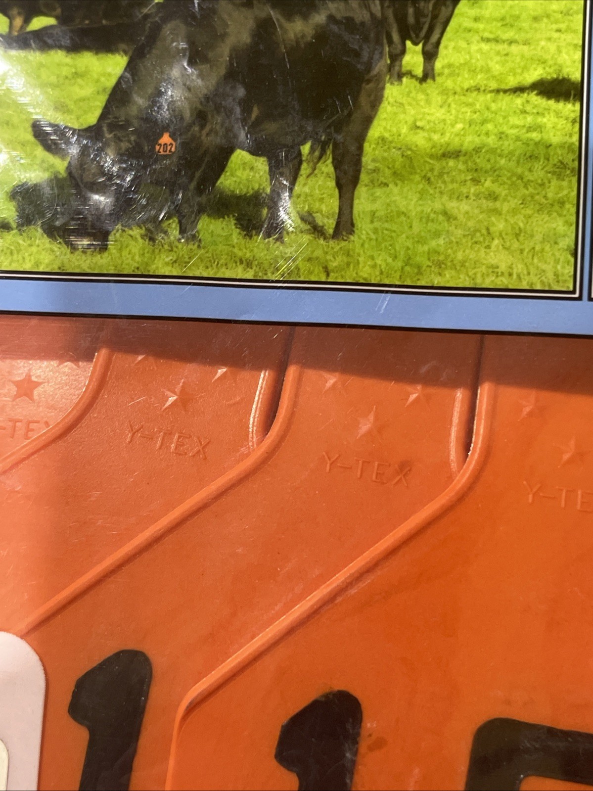 Y-Tex 4 Star Large Cattle Tags 25 Pack, 2 Piece Ear Tag System, Orange, 151-175