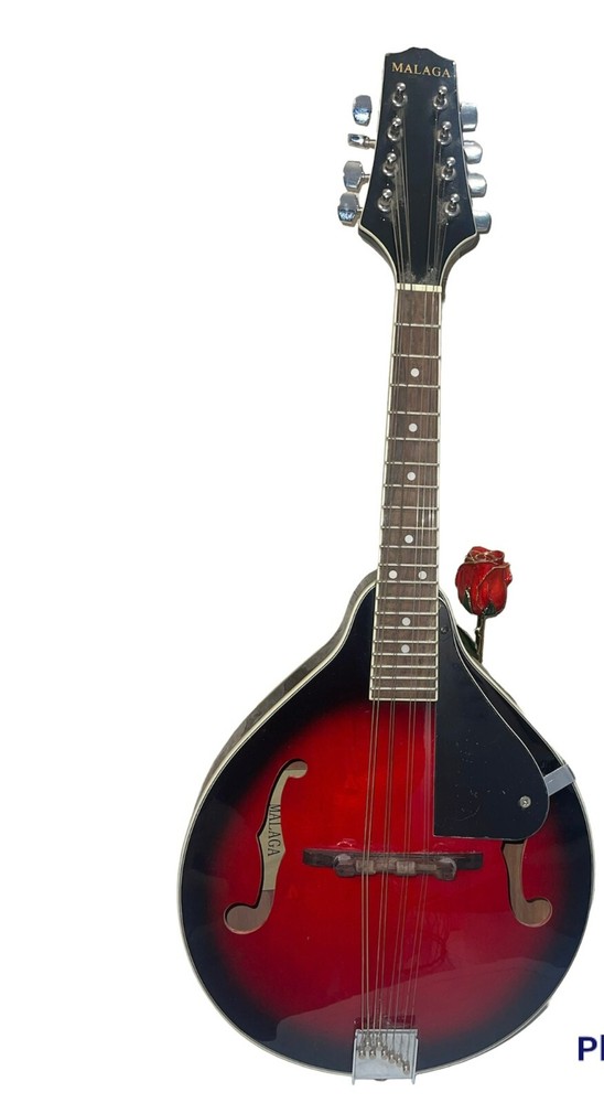 A-Style Mandolin MALAGA Mandolin Rocky .