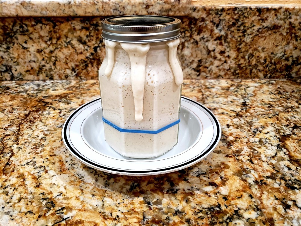Organic DEHYDRATED SOURDOUGH STARTER