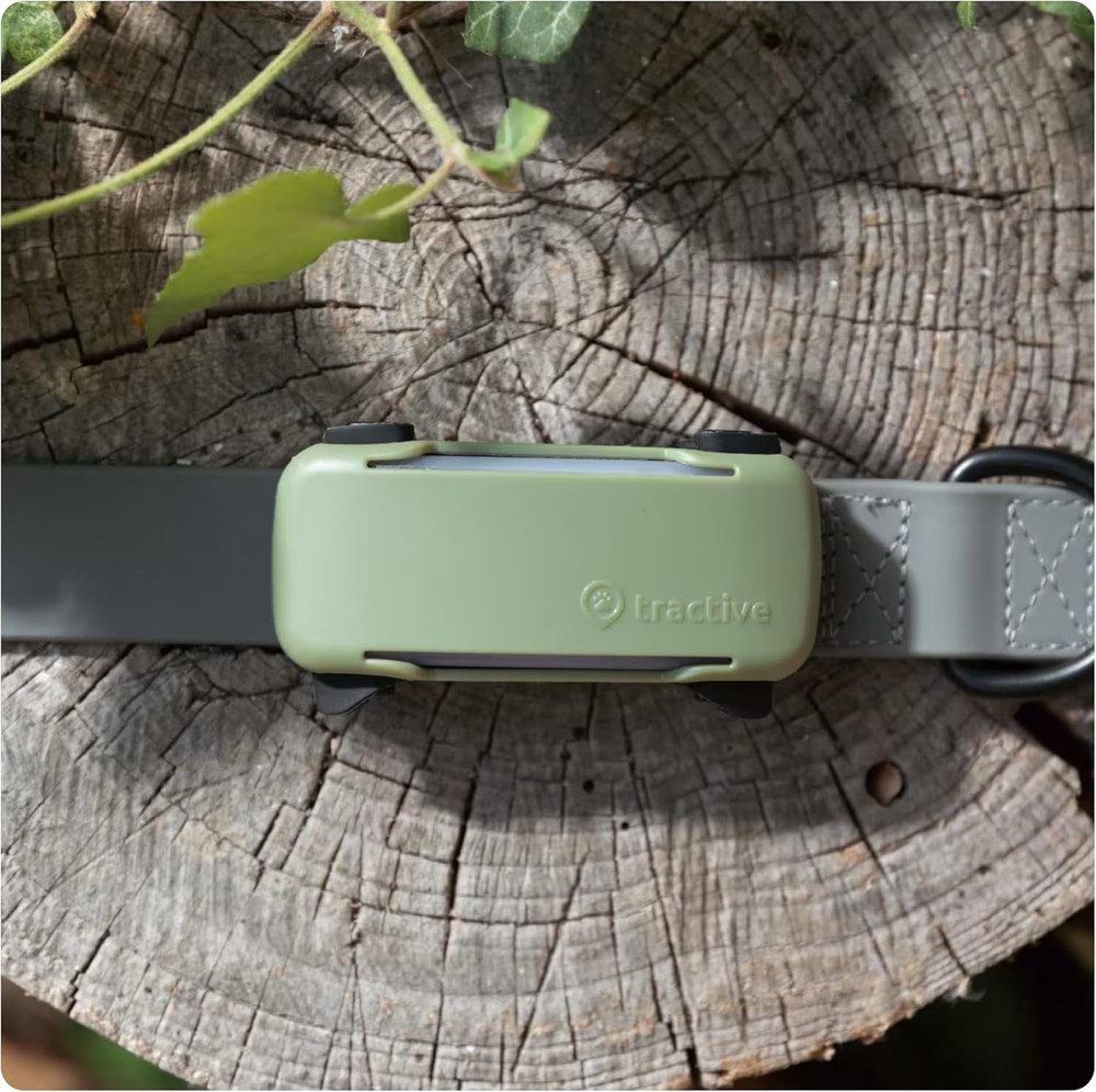 GPS Dog 6 Tracker Cover - Olive