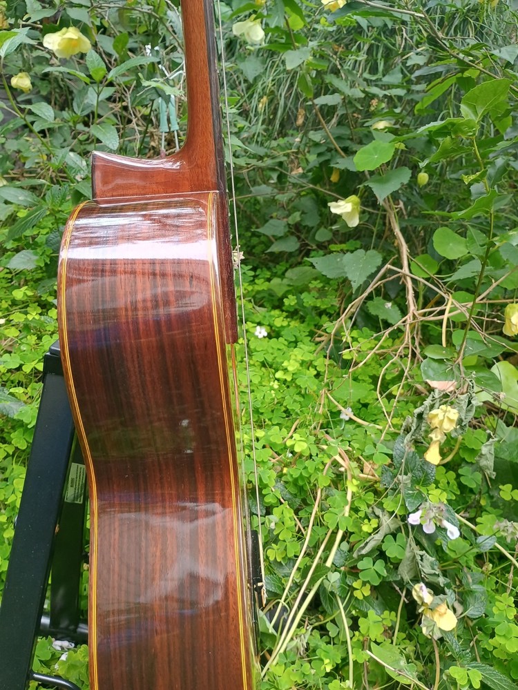 Takamine 30-3 Classical Guitar, solid top, short scale, MIJ 1986