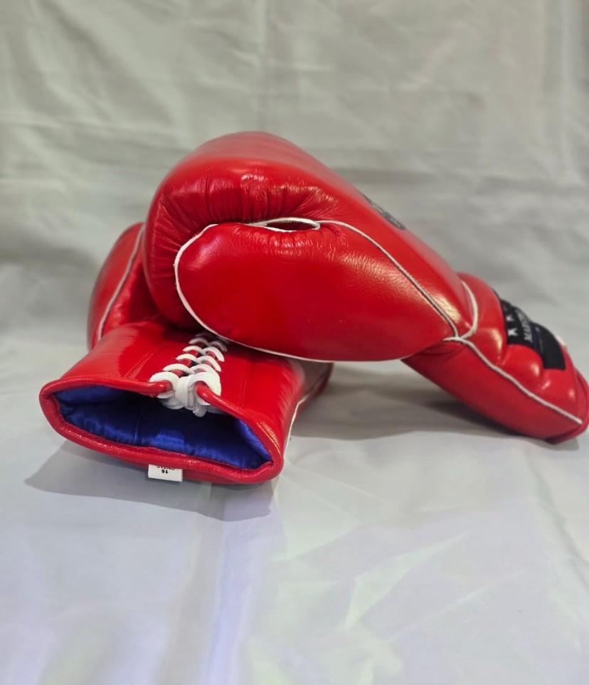 Maestro Boxeo