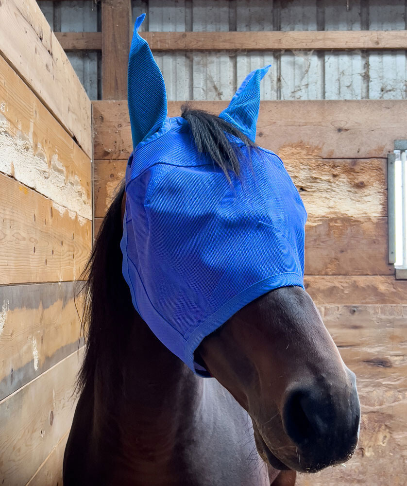 Rugged Ride Rip Resistant Mesh Fly Mask w/Ears & Forelock Hole