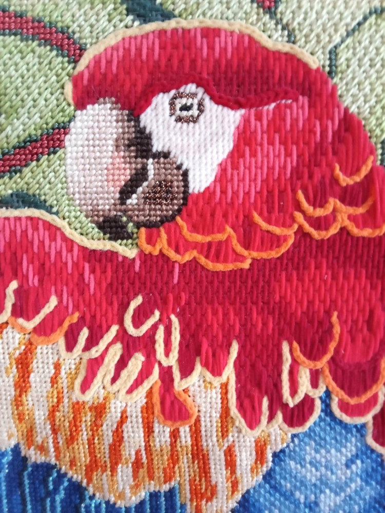 Vintage Framed Needle Work Parrot