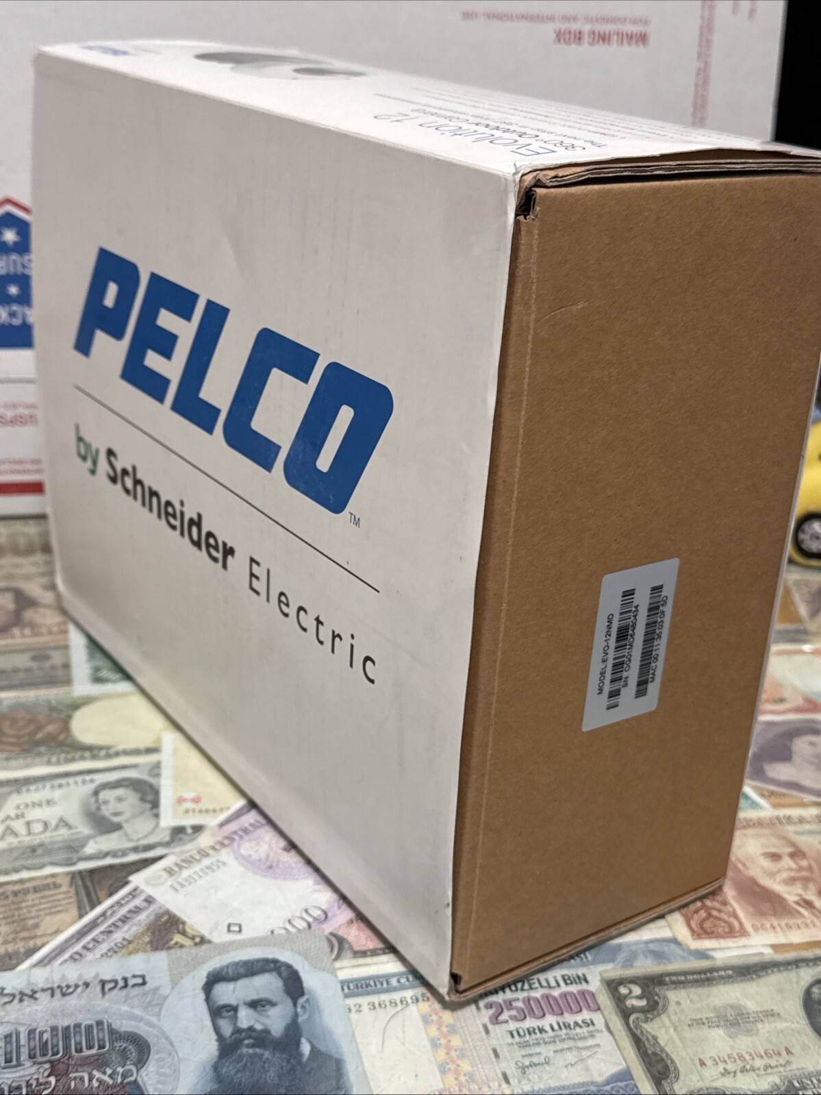 Pelco EVO-12NMD 12 Megapixel Outdoor 360-Degree Surface Mount Network Camera