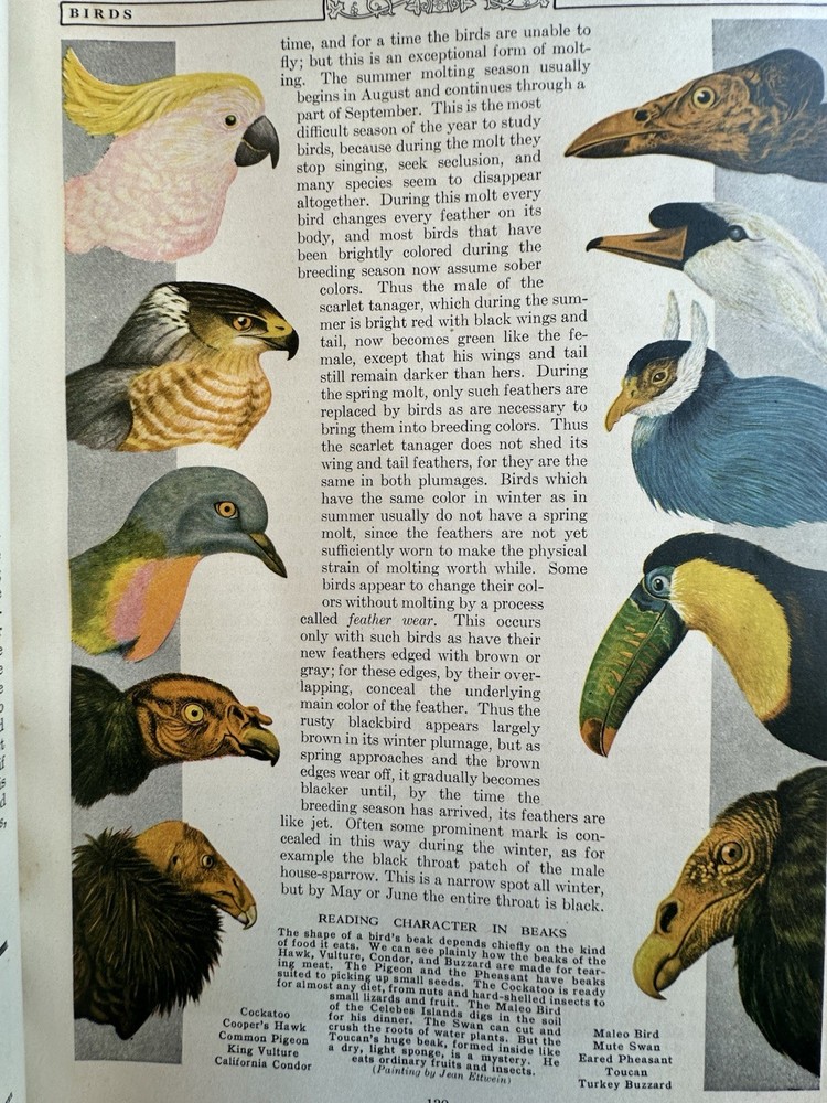 Compton's Pictured Encyclopedia, 1940 Edition, Vol 1