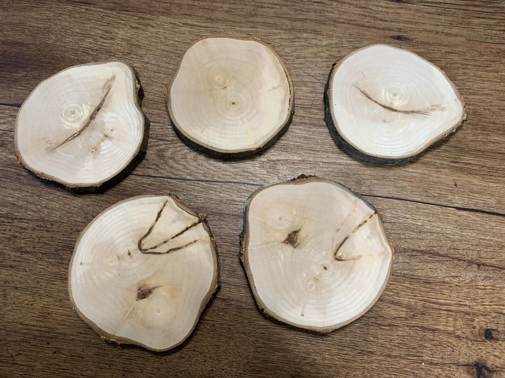 Maple Log Slices 4 Plus Inches Diameter, 5 Count