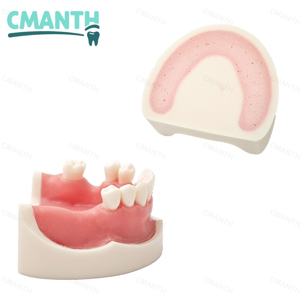US Dental Removable Implant Teeth Model Drilling Training Soft Gums Model