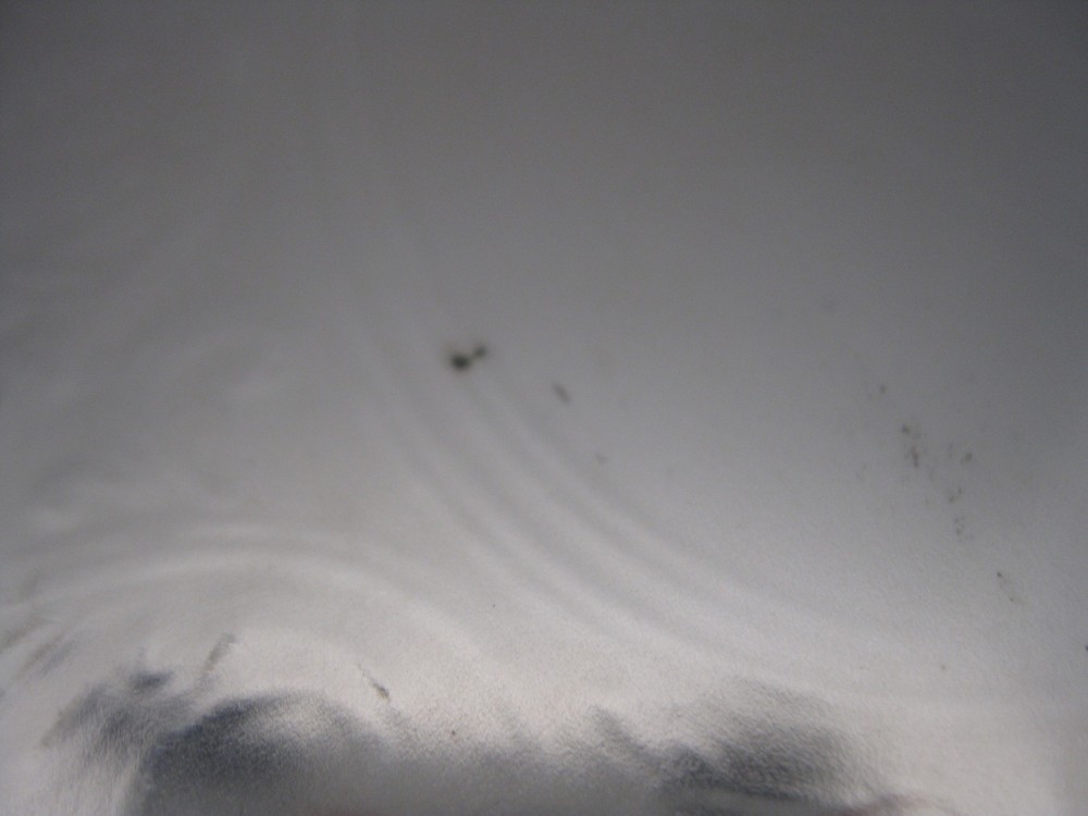 Oneida Silver Plate Serving Tray 20 5/8" length 14 1/2" Diameter