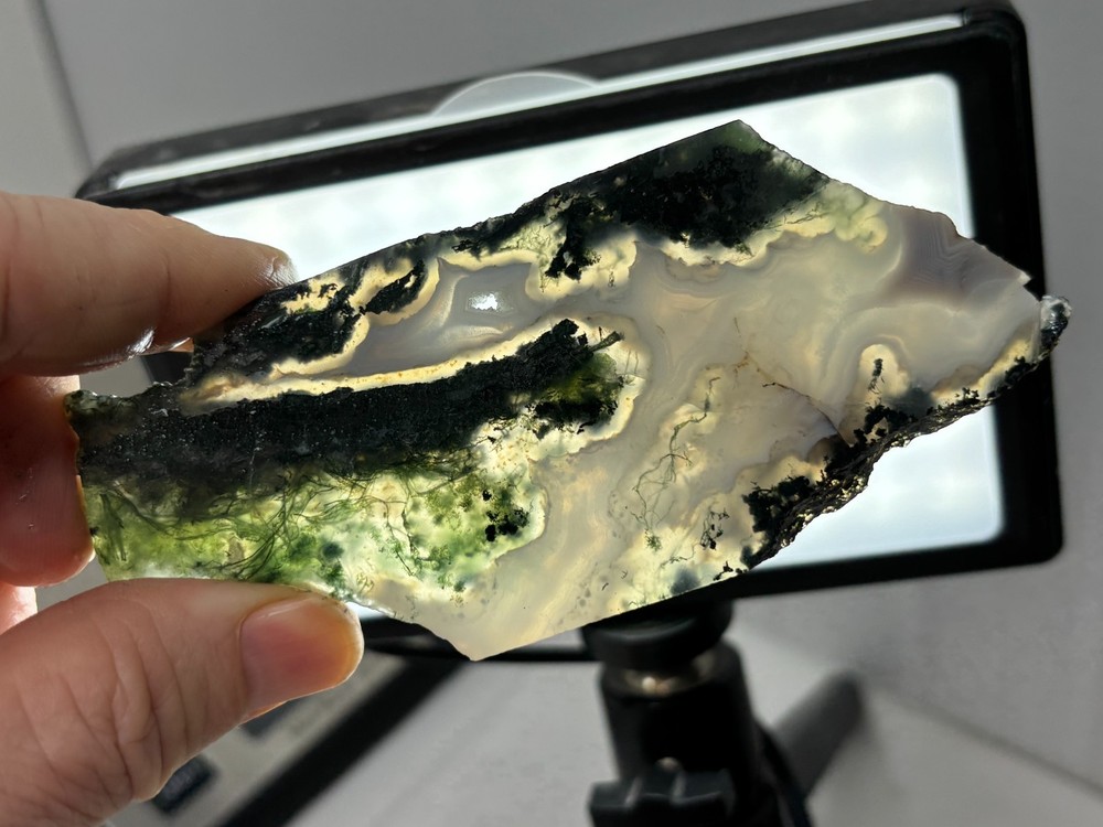 Semi-translucent Moss Agate Slabs Cabbing Lapidary Combo Ship Avail