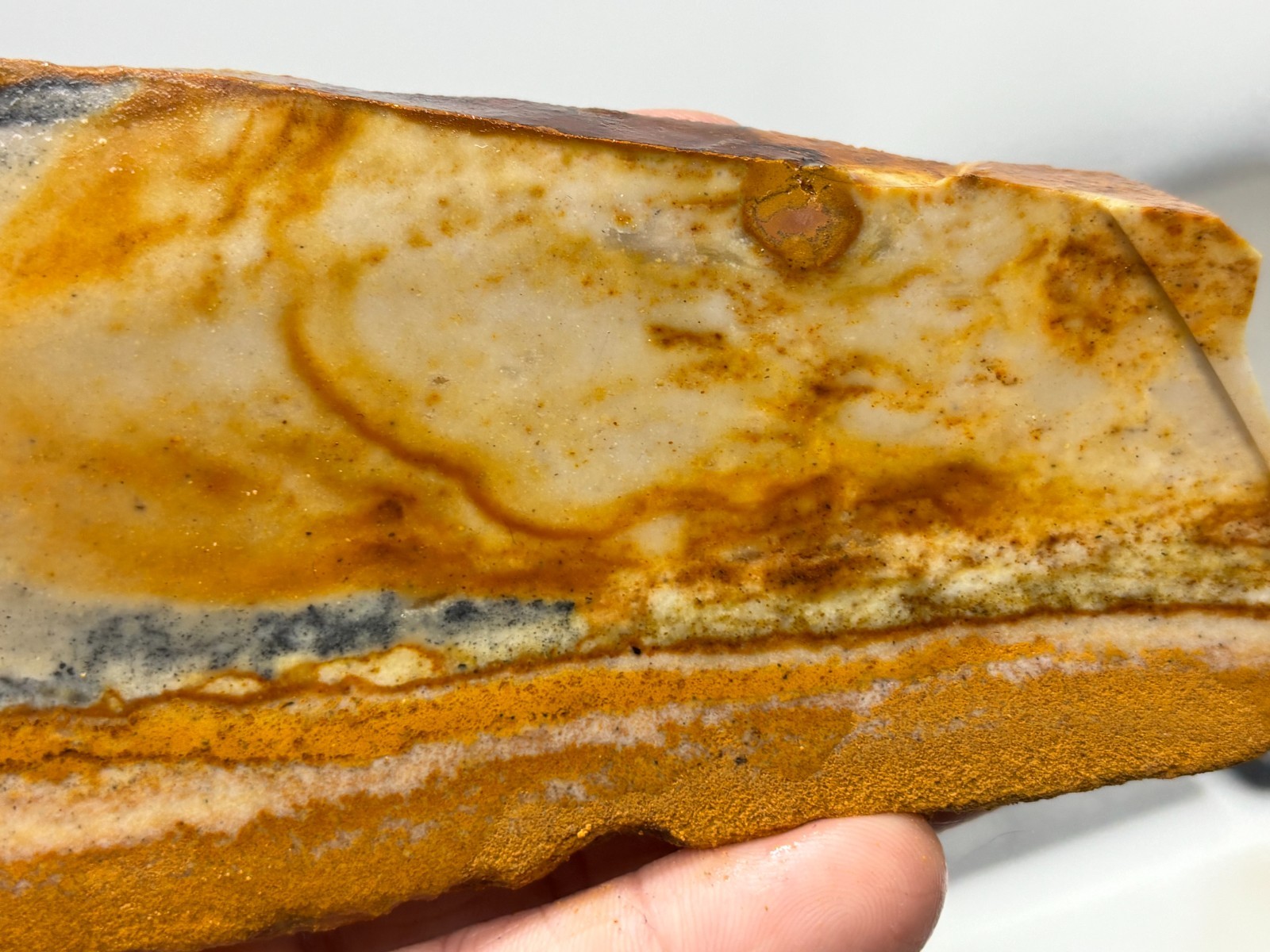 Disaster Peak Picture Jasper Slab Cabbing Lapidary Collecting Combo Ship Avail