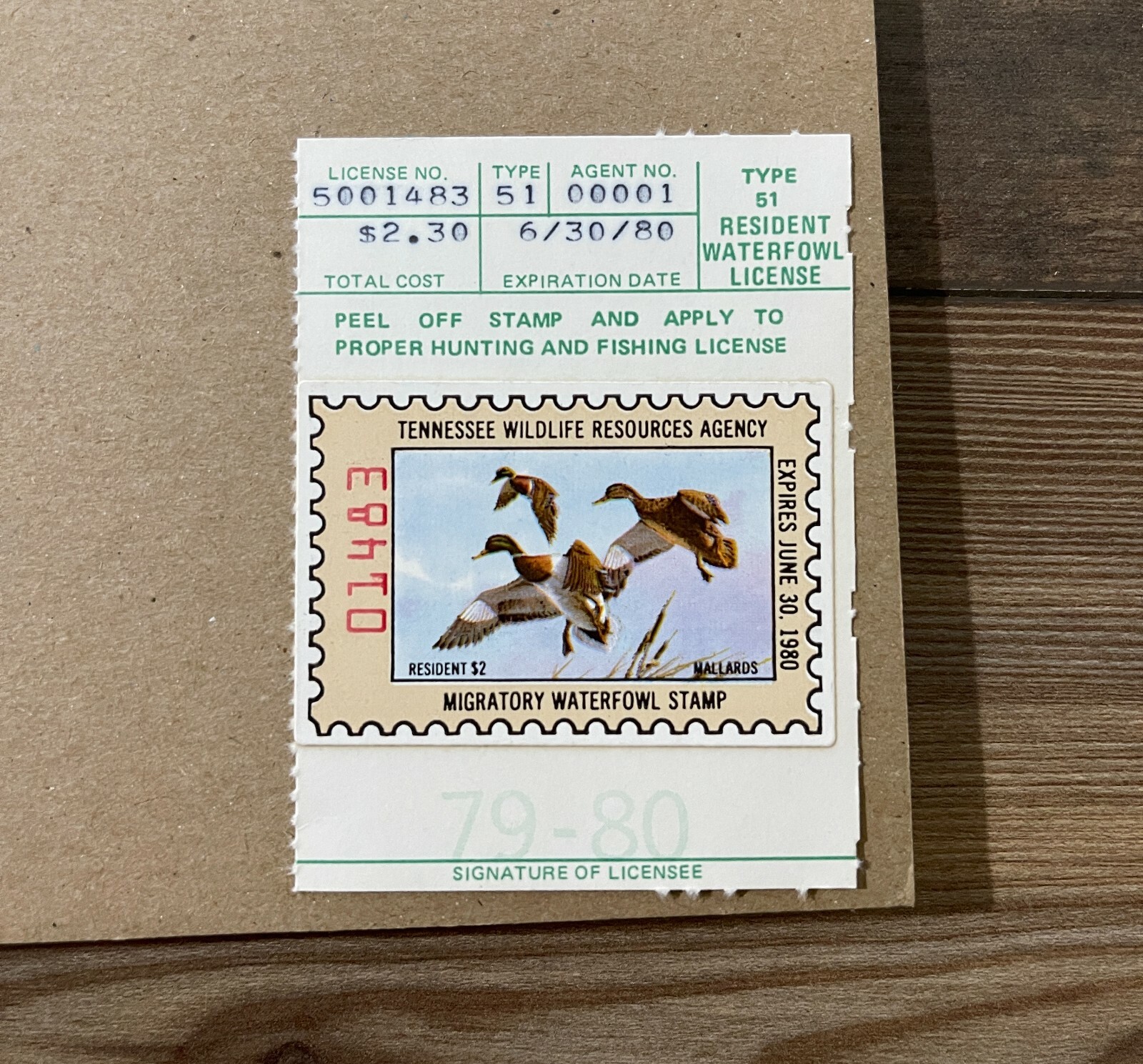 1979 TENNESSEE - State Duck Stamp Print - with STAMP! **First of State**