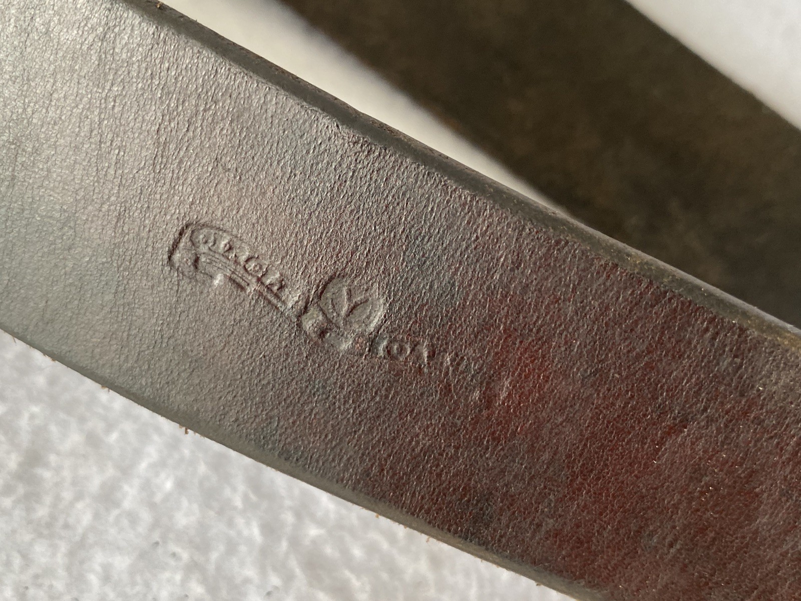 CIRCLE Y Shell TOOLED Walnut Leather Back Flank Cinch & Billet SET~LIGHTLY USED