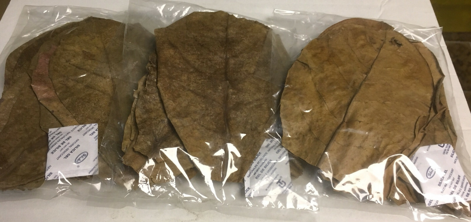 30 Indian Almond Leaves 10-15cm Catappa Ketapang for Fish, Shrimp, Aquarium