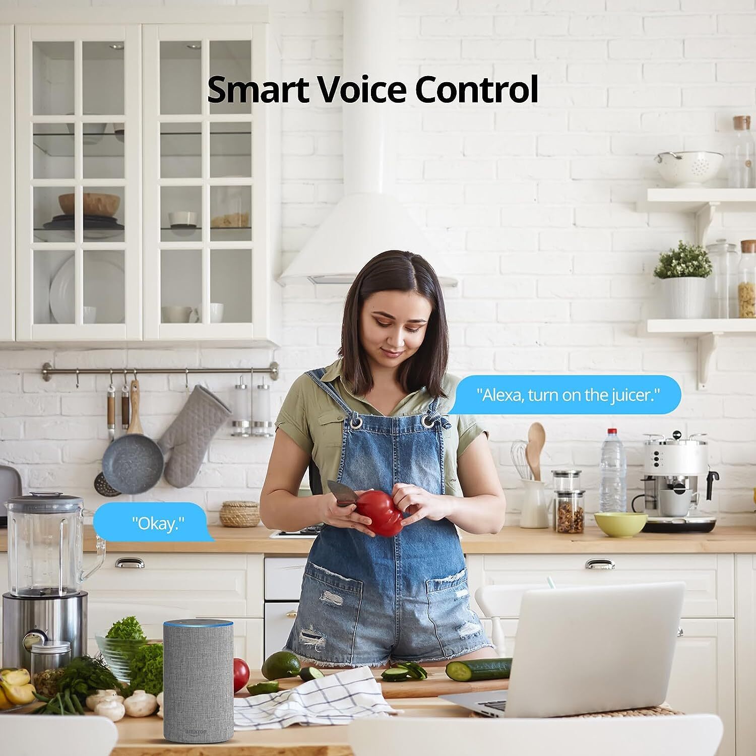 SONOFF S40 WiFi Smart Plug 15A with Energy Monitoring Voice Remote Control 2PCS