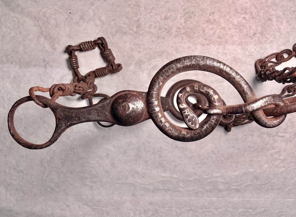 Rare Mexican Snake Bit with silver and copper