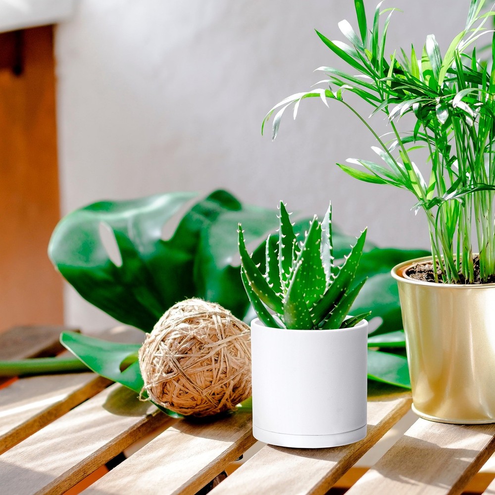 D'vine Dev 2-Pack 4" Modern White Plastic Plant Pots w/ Drainage & Saucers