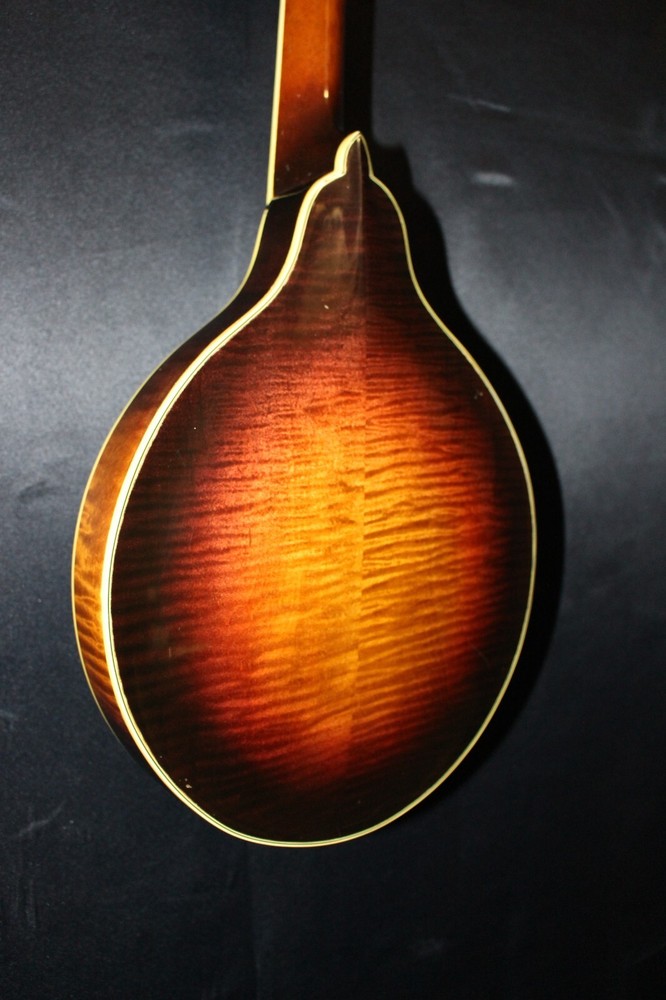 Wayne Henderson John Cephas Mandolin