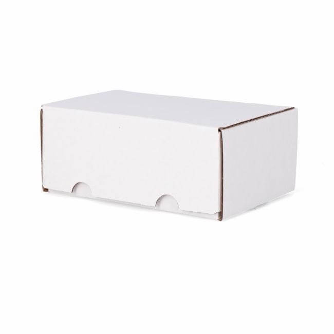 BCW Graded Trading Card Box