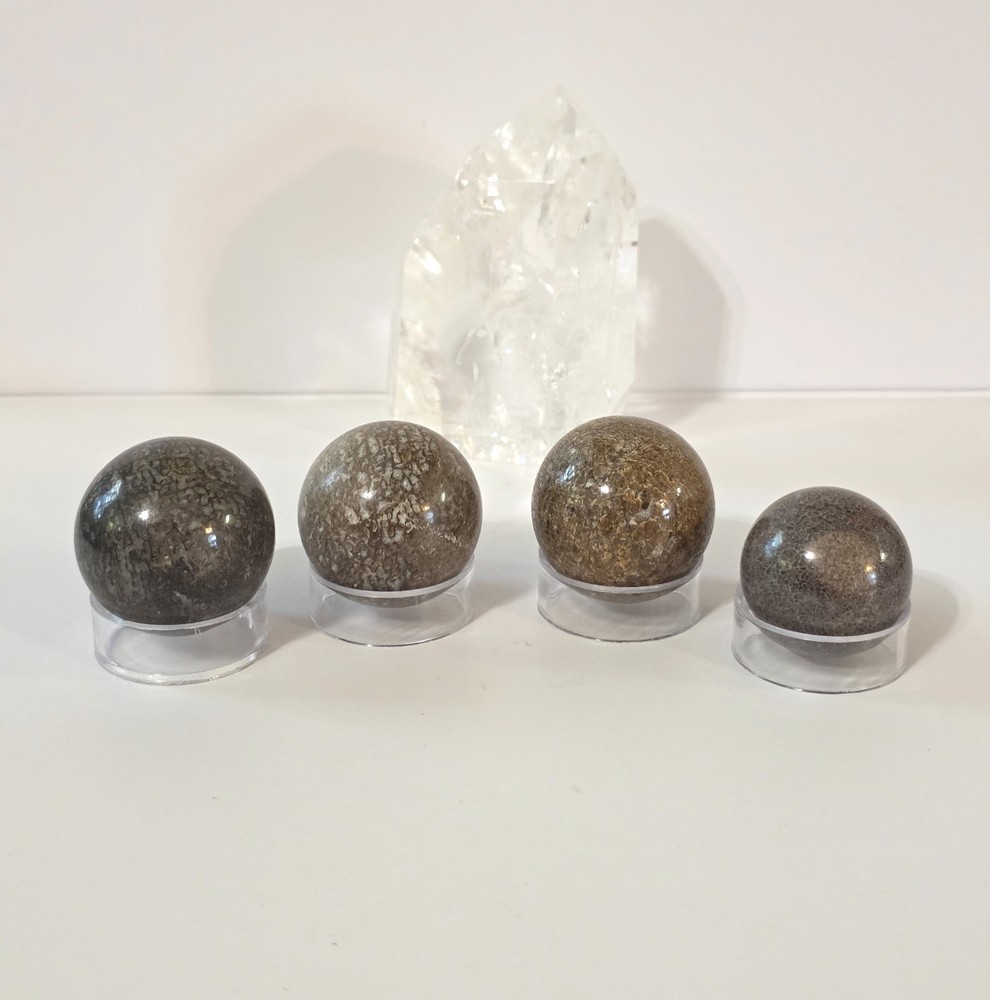 Dinosaur Bone Sphere #2- WYSIWYG