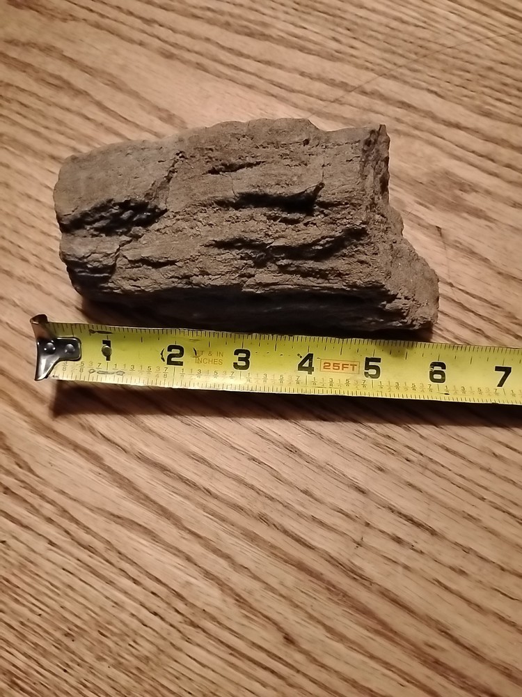 Petrified Wood 738g (Outer Bark)