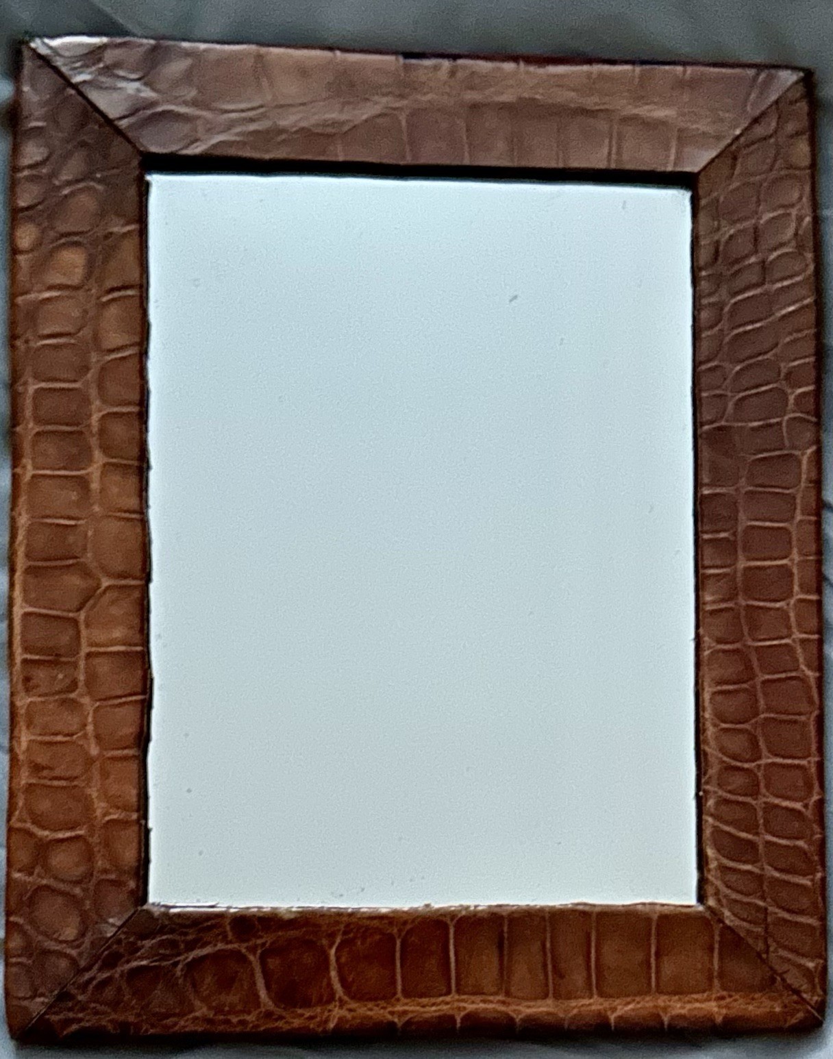 ANTIQUE CROCODILE Skin Picture Frame with Mirror BEAUTIFUL 8.5”x 10.75” GENUINE