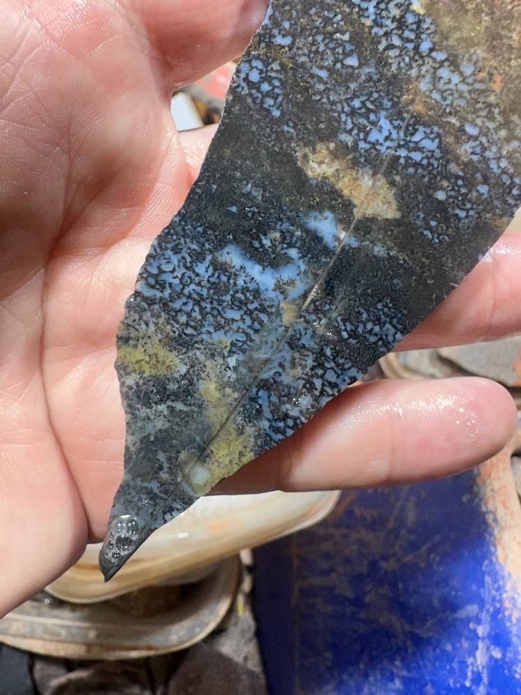 Dinosaur bone rough slab.