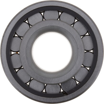 Differential Pilot Bearing DANA Spicer 126187