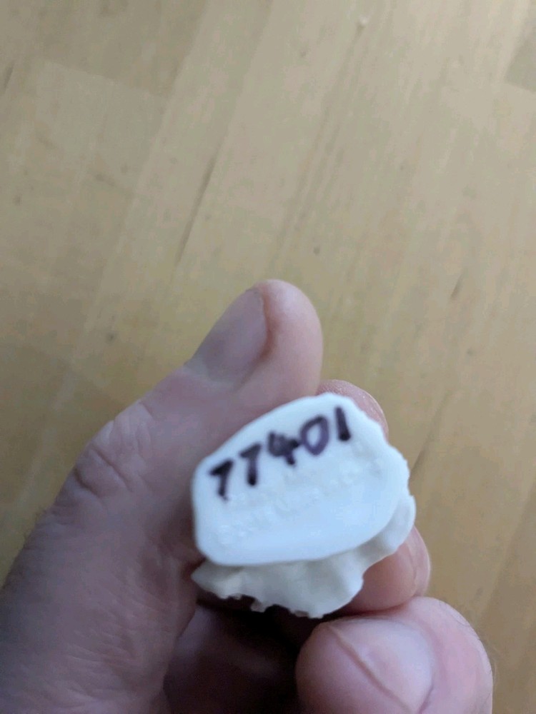 Reaper Bones Andras, Evil Warrior