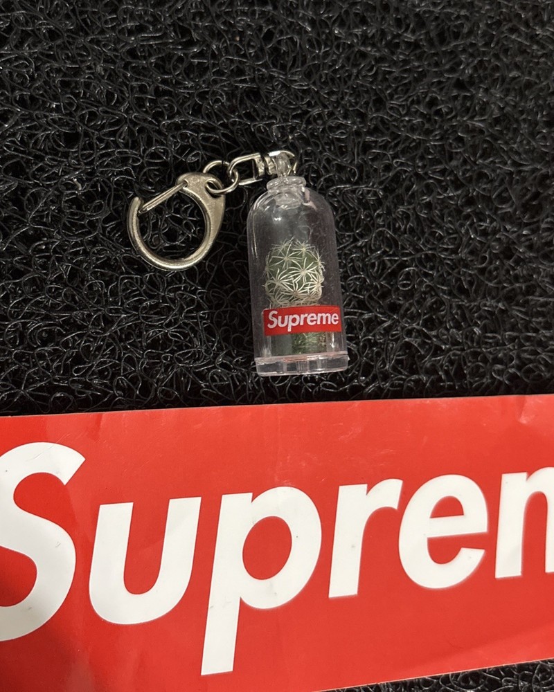 Supreme Cactus Keychain Box Logo SS18