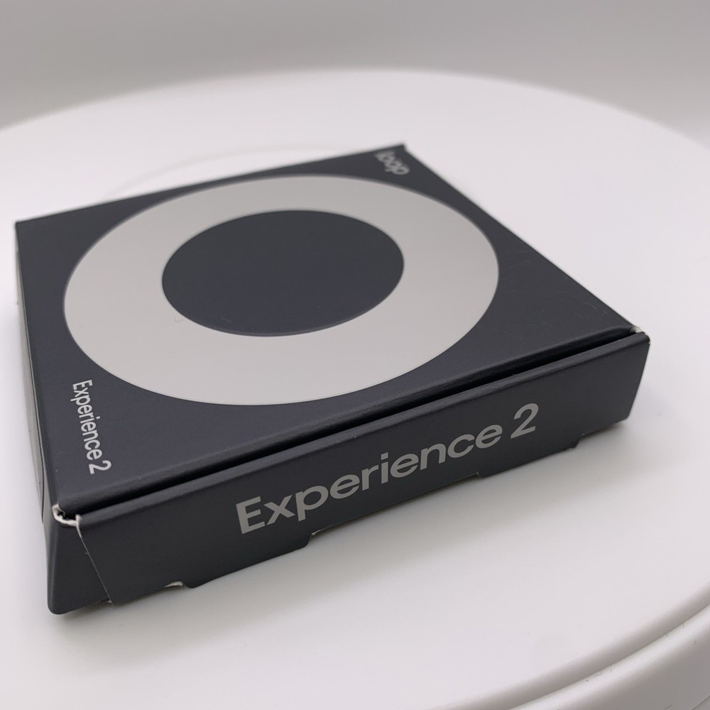 Loop Experience 2 Earplugs - Silver