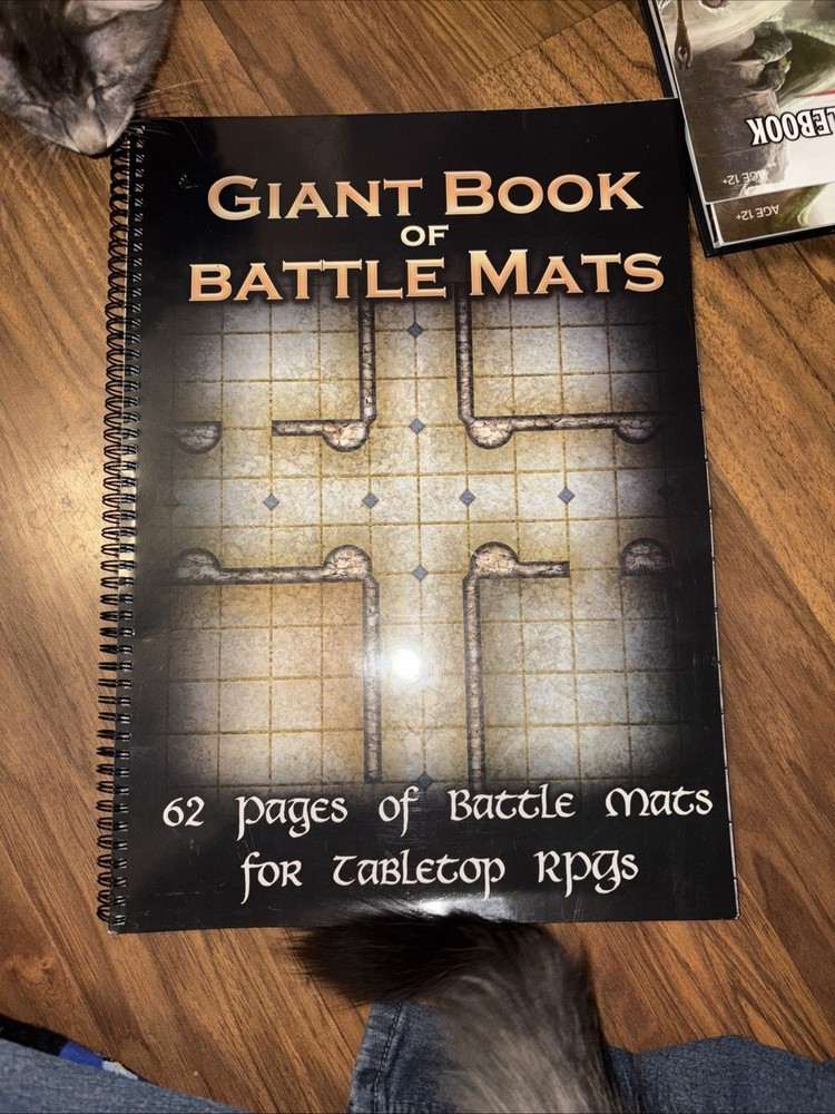D&D Everything You Need To Get Started Playing