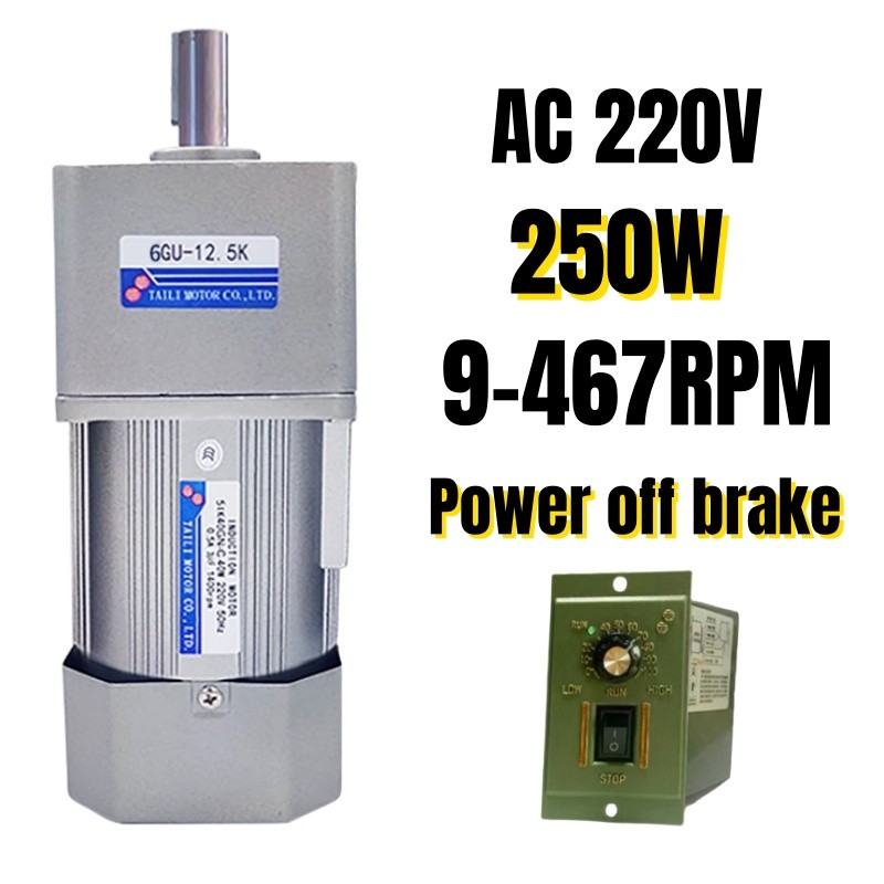 250W 220V AC Gear Reducer Motor With Speed Controller Constant Speed Brake Motor