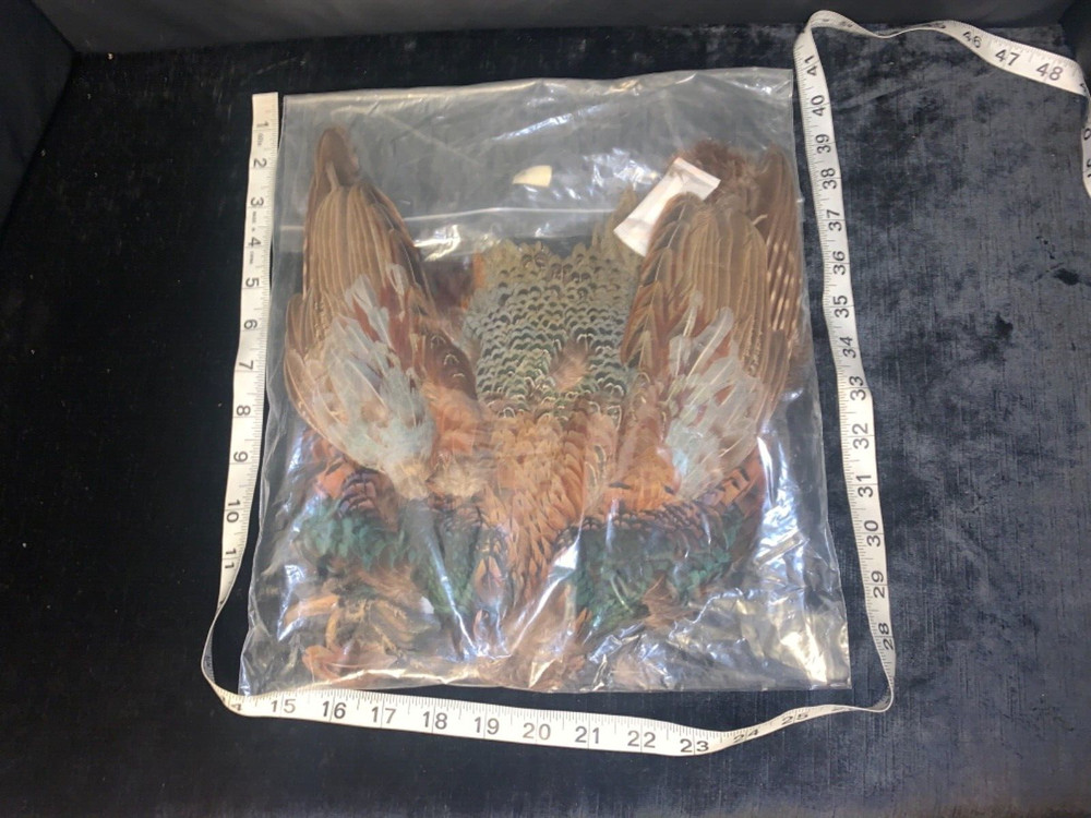 Fly Tying Material Crafting Complete Bird