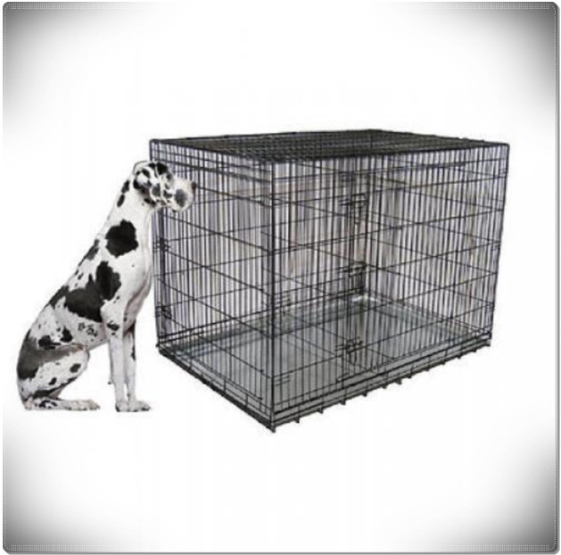 XXL Large Dog Crate Kennel Extra Huge Folding Pet Wire Cage Giant Breed Size
