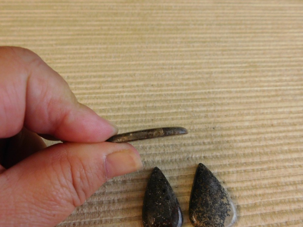 Dinosaur Bone Cabochons - 4 pcs