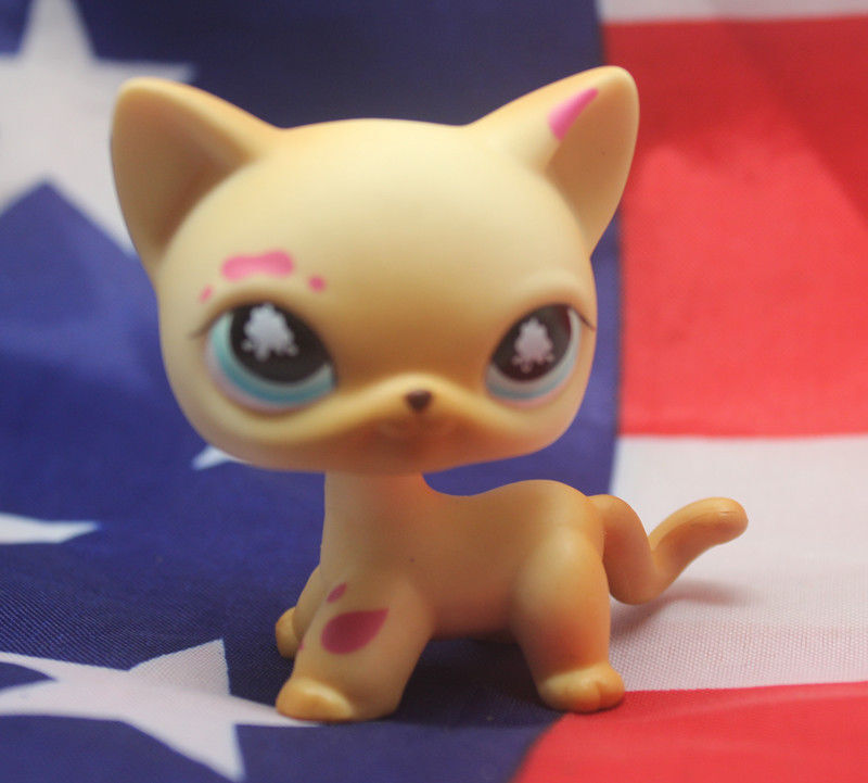 5pcs/lot Littlest Pet Shop toys LPS Random Short Hair Cat Animal Figures New