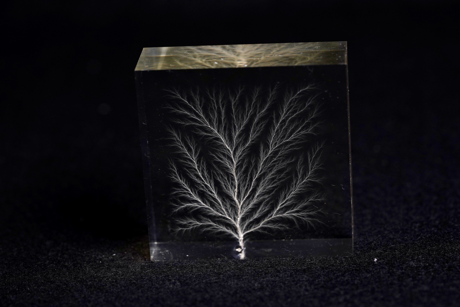 BUNDLE OF 3, Lichtenberg Figures, Acrylic Physics Art, RANDOM Discharge Patterns