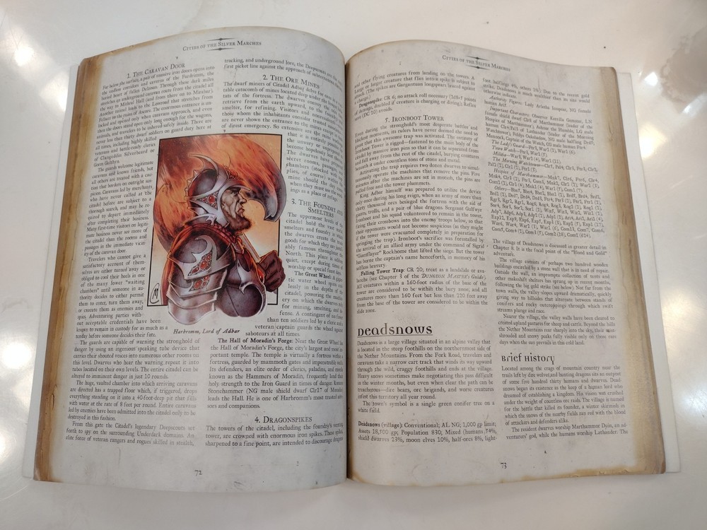 SILVER MARCHES - Dungeons & Dragons 3.5 Campaign Accessory - Paperback