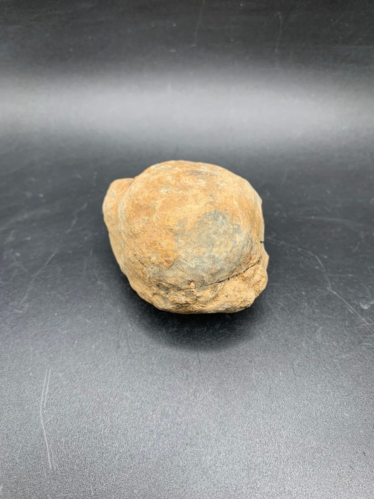 Trilobite in Nodule