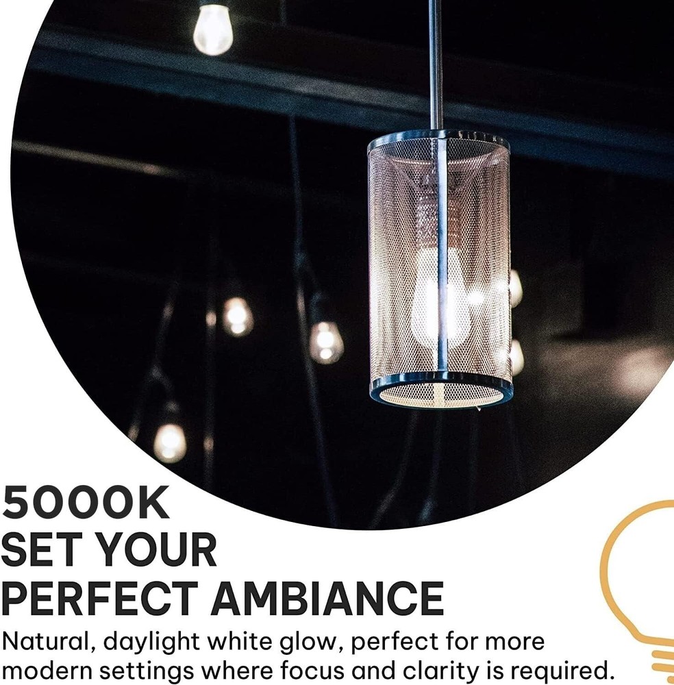 HUDSON BULB CO. Vintage LED Edison Light Bulbs 60W (6 Pack)- E26/E27 Base