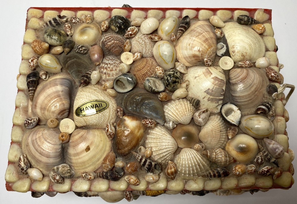 4 Handmade Seashell Boxes